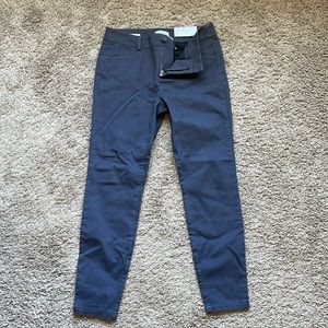 LOFT Outlet Skinny Ankle Petite Pant